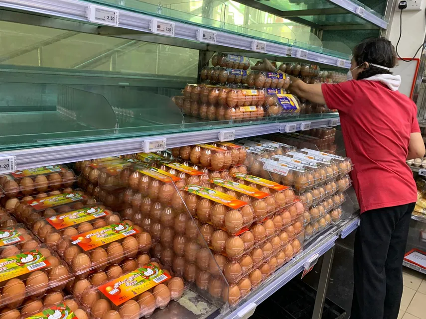 Desde la fecha de su vigencia queda prohibida la comercialización y el uso de hisopos para el oído plástico, cobertores de plástico para ropa de lavandería, varillas plásticas para sostener globos, palillos plásticos para dientes, palillos cocktail de plástico, palillos plásticos para caramelo y anillos para latas.