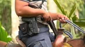 Policía implementa unidades a caballo para disminuir el hurto de cerdos y ganado en Panamá Norte Policía implementa unidades a caballo para disminuir el hurto de cerdos y ganado en Panamá Norte