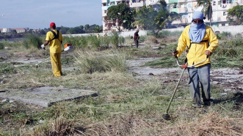 18 de agosto, fecha tope para limpieza de lotes baldíos