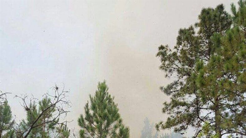 Más de 480 hectáreas de bosque quemadas en pulmón ambiental en Honduras