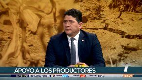Emergencia por sequía permite destinar $35 millones en apoyo a productores
