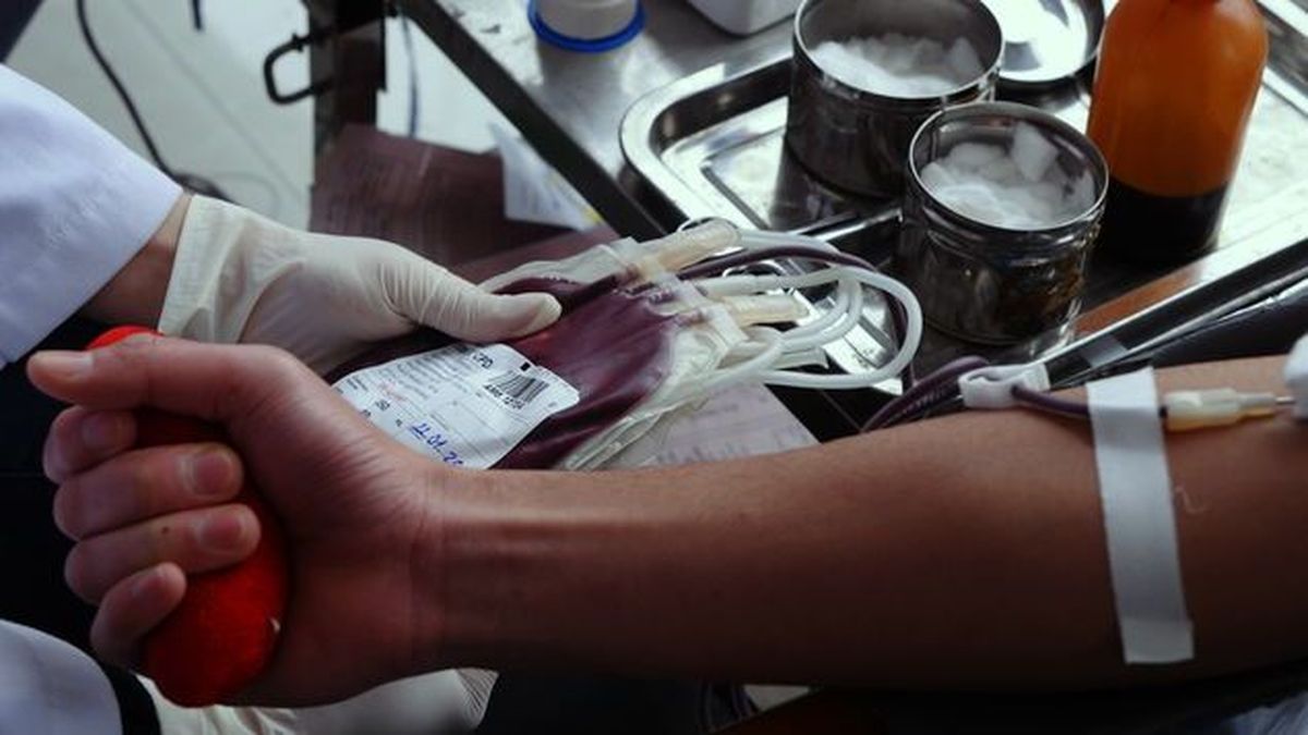 Testigos de Jehová permiten autotransfusiones de sangre en 2026 Testigos de Jehová permiten autotransfusiones de sangre en 2026