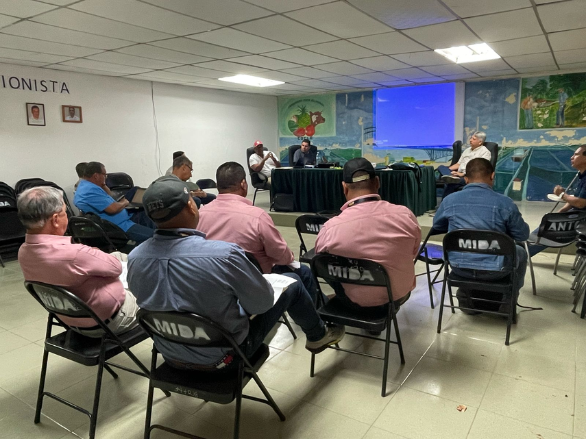 MIDA y los costos de producción del café Robusta