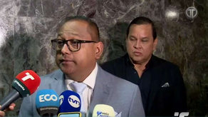 Diputado Raúl Pineda&nbsp; 