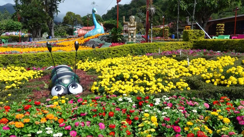 Feria de las Flores y del Café