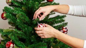 ¿Los arbolitos de Navidad se lavan?