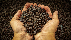 Extienden por seis meses el control sobre la comercialización de café tostado en Panamá.