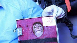 Programa espacial de Irán envía mono al espacio