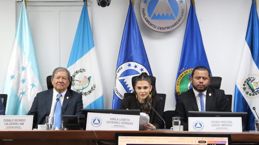 Parlacen rechaza juramentar a Cortizo y Carrizo