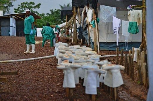 Coordinador de la ONU para el ébola viajará a África para revisar operación