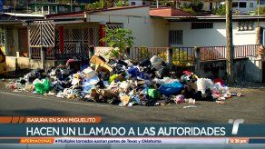 Los vertederos clandestinos tienen cansados a los residentes de San Miguelito