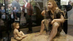 Hallados 17 cráneos en Atapuerca que aportan luz a evolución de Neanderthal