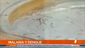 San Miguelito reporta 400 casos de dengue y 900 de malaria
