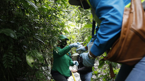 En Pacora, MiAmbiente verifica descargas de planta de tratamiento En Pacora, MiAmbiente verifica descargas de planta de tratamiento