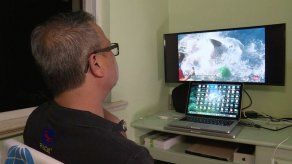 Buceador recuerda encuentro con tiburón adorable en jaula en México