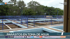 Planta potabilizadora de Chitré sigue afectada por parásitos en la toma de agua
