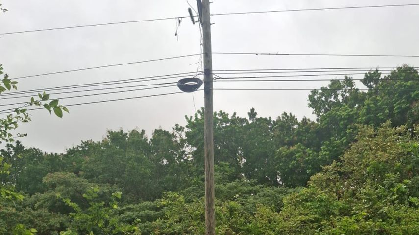 Caída de rayo deja sin luz a sectores de Los Santos.