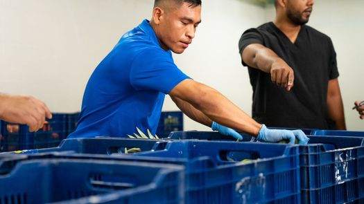 Meduca inicia entrega del Almuerzo Escolar Saludable Meduca inicia entrega del Almuerzo Escolar Saludable