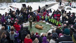 Asociación de zoos defiende disección de leona en Dinamarca