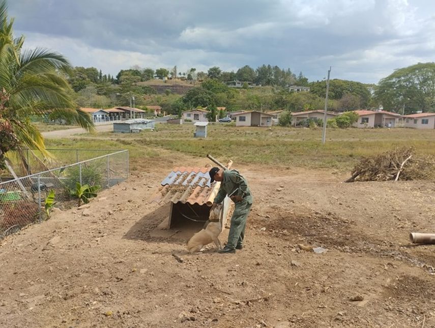 Policía Nacional Policía Nacional 