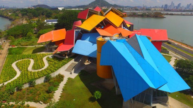Nueva muestra de Biomuseo en Panamá expondrá sobre la red natural y amenazas
