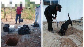 Decomisan 40 paquetes de supuesta sustancia ilícita en allanamiento en Coclé Decomisan 40 paquetes de supuesta sustancia ilícita en allanamiento en Coclé