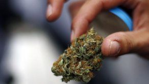 Arranca en Chile nueva edición de feria de cannabis más grande de Suramérica