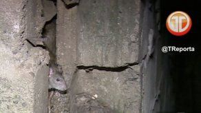 MINSA reitera prohibición de uso de carpas durante Carnaval