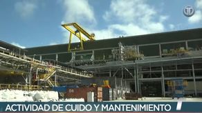 Realizan inspección técnica en mina de Donoso liderada por el ministro Rivera Staff