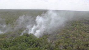 Daños por incendios en reserva natural mexicana pueden persistir 200 años
