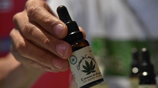 Proyecto sobre cannabis medicinal busca dar la opción para que pueda ser recetado