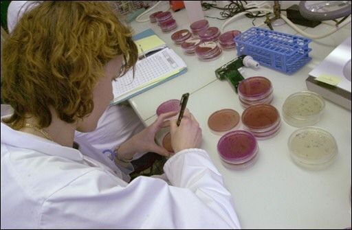 Avance importante para neutralizar la bacteria E Coli