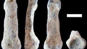 Hallada la mano moderna más antigua