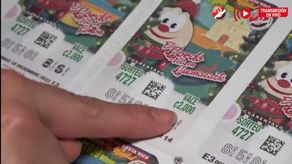 Resultados de la lotería tica del 21 de noviembre