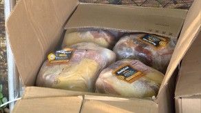 IMA y MIDA dan detalles de la entrega de piezas de cerdo y jamones a través de Panamá Solidario IMA y MIDA dan detalles de la entrega de piezas de cerdo y jamones a través de Panamá Solidario