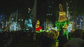 Panameños han reportado que el alumbrado navideño en algunos lugares ha presentado fallas técnicas y es escaso.