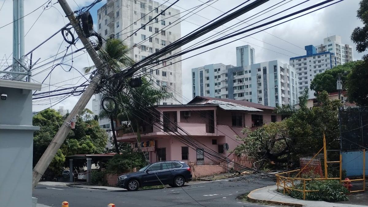 Caída de árbol deteriorado en Carrasquilla.