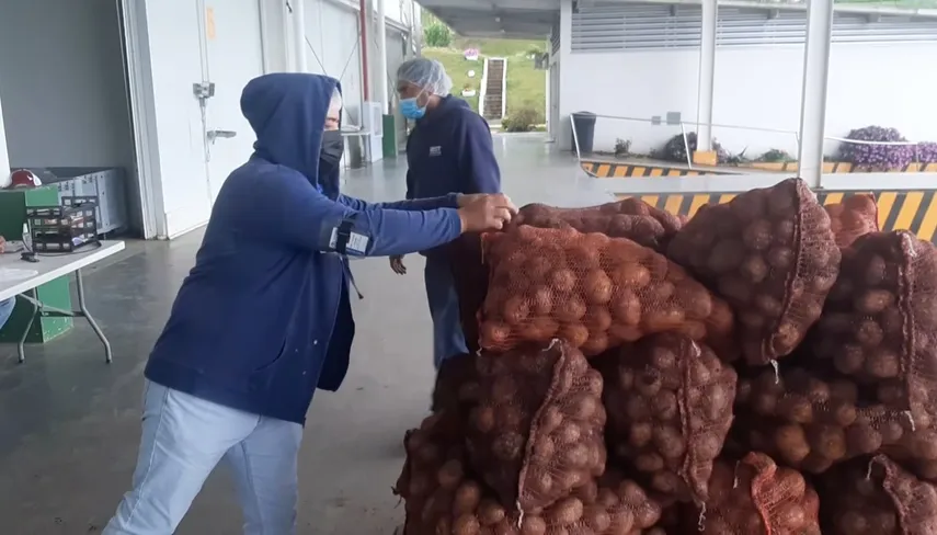 Productos empacados para su traslado hacía Merca Panamá