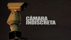 Camara indiscreta - Cucarachas Pt.3