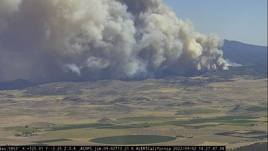 Las llamas del incendio avanzaron rápidamente por la hierba seca, la maleza y la madera.