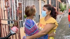 Autoridades brindan asistencia a 25 perros en la 24 de Diciembre y a sus dueños Autoridades brindan asistencia a 25 perros en la 24 de Diciembre y a sus dueños