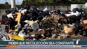 Moradores de El Valle de San Isidro piden solución al problema de la basura