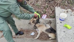 Policía Nacional Policía Nacional