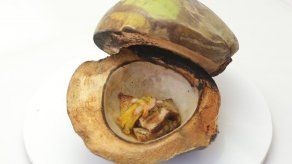 Cerdo en Panga - Jovana