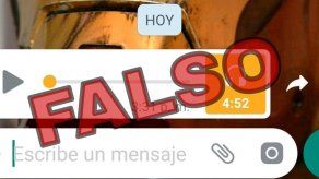 Minsa desmiente audios en redes sociales y aclara que cuentan con personal capacitado para la JMJ