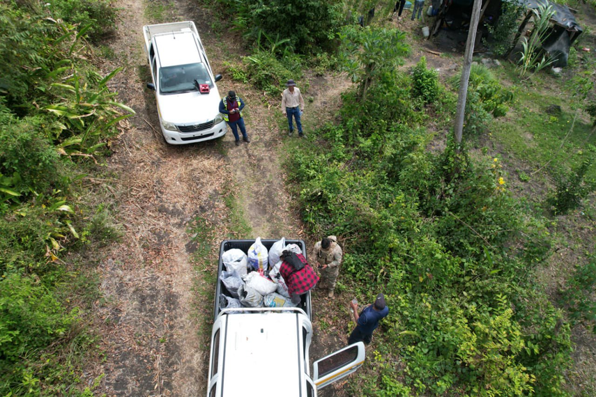 Autoridades decomisan 12 sacos de carbón vegetal en Capira.