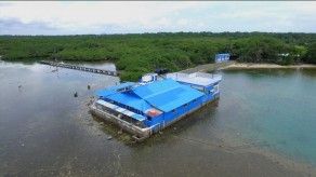 Abogado Mitchell se refiere a concesión que amenaza Punta Galeta y otras áreas Abogado Mitchell se refiere a concesión que amenaza Punta Galeta y otras áreas