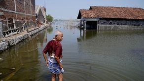 Día Internacional contra el Cambio Climático