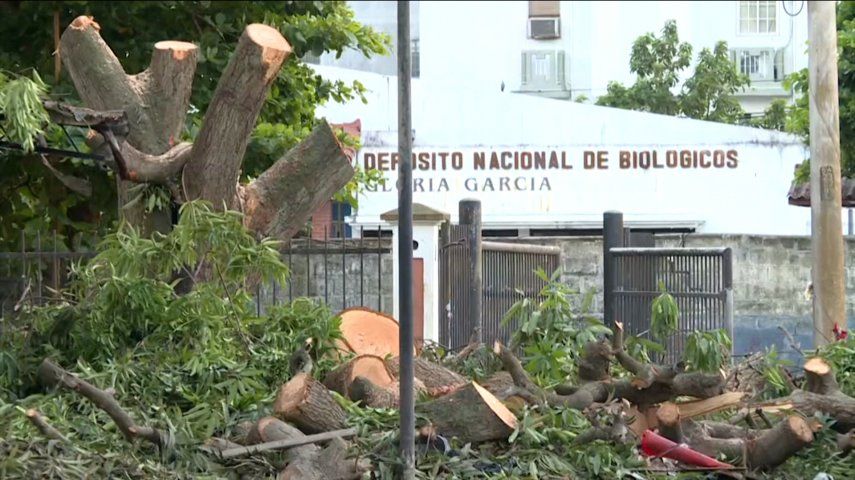 De acuerdo con el Minsa