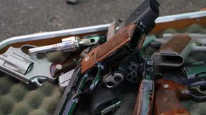 Programa Armas por Comida suspendido en Colón por extorsión de pandillas.